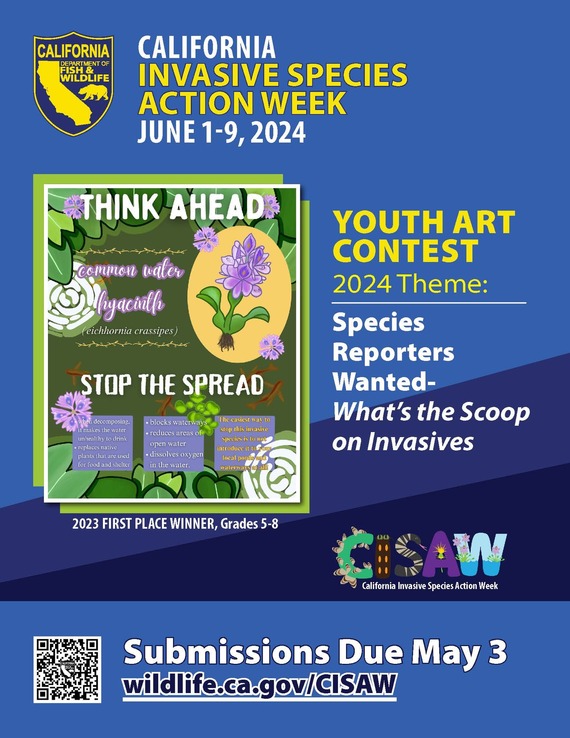 CISAW 2024 Student Art Contest