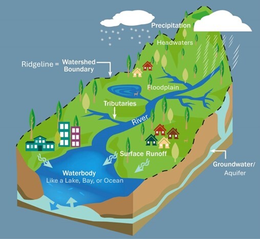 Watershed Model