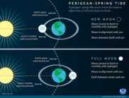 Perigean - Spring Tide