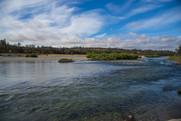 Lower Yuba River