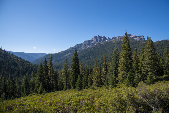 A photo of the Sierra Buttes mountains. 