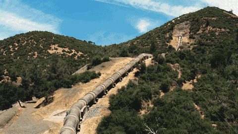 Community impact grants