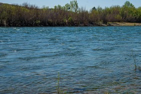 Yuba River flows are fast and cold