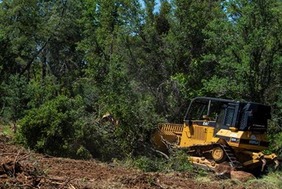 Wildfire resilience grants