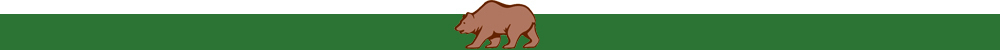 Bear Digest Divider