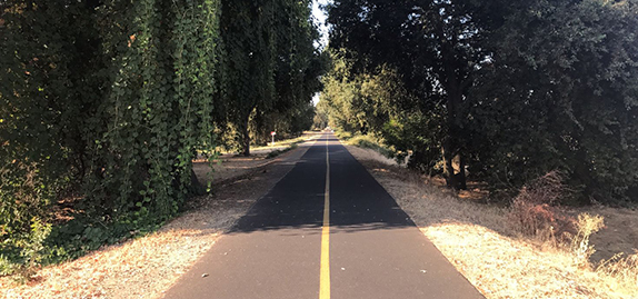 Tree lined trail