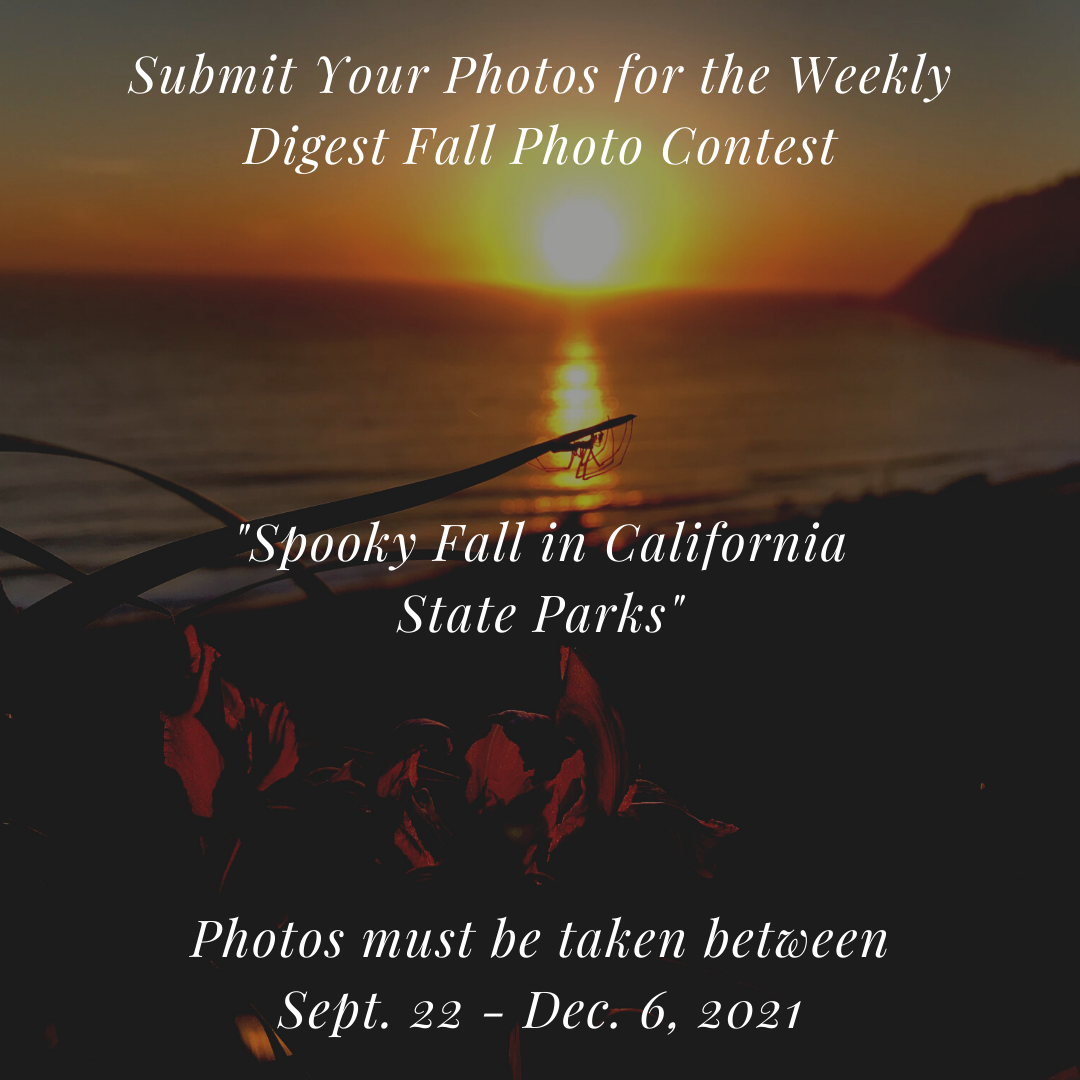 Fall Spooky Photo Contest Banner