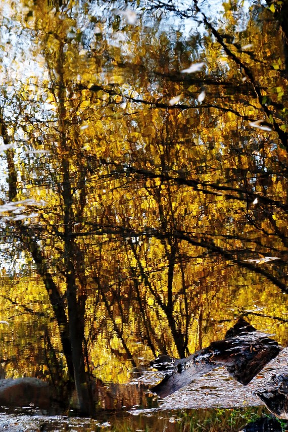 Cuyamaca Rancho State Park