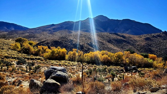 Eastern Kern County Onyx Ranch SVRA_autumn colors