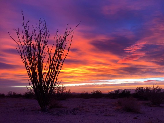 Ocotillo Wells SVRA sunrise by Diana Fong