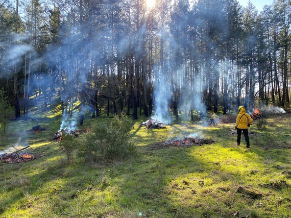 Trione-Annadel SP_prescribed burns