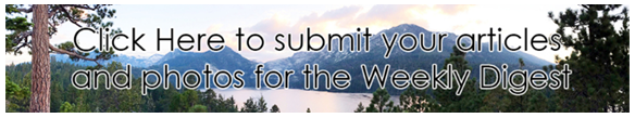 Submit articles and deadlines graphic_mountains