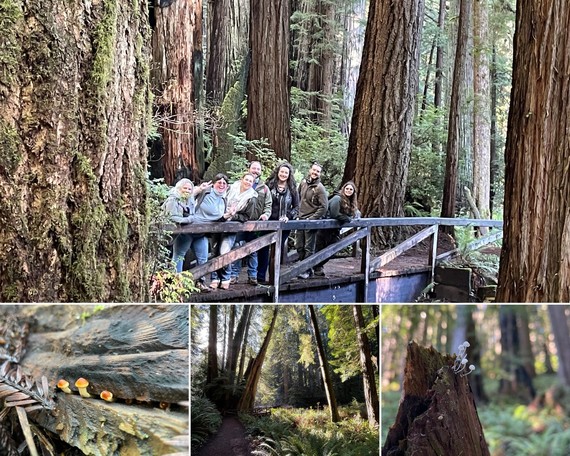 Prairie Creek Redwoods SP (admin tour staff collage)