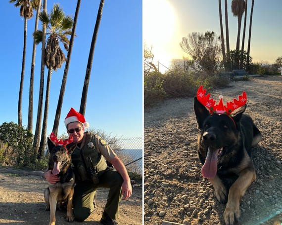 Angeles District (K-9 Argo with SPPO David Gunn)