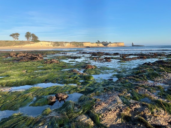 Wilder Ranch SP (low tide at 4 Mile Beach)