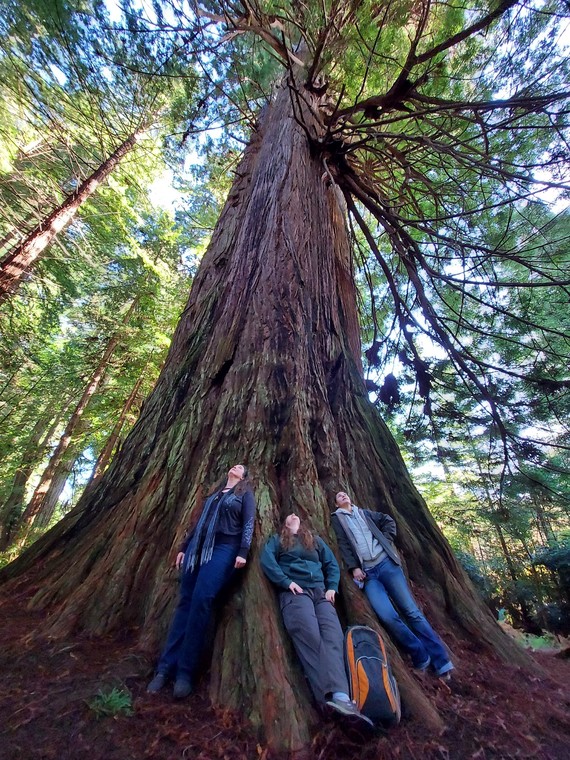 Prairie Creek Redwoods SP (Admin staff with redwood)