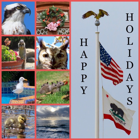 Malibu Lagoon SB (Adamson House wildlife collage Happy Holidays)