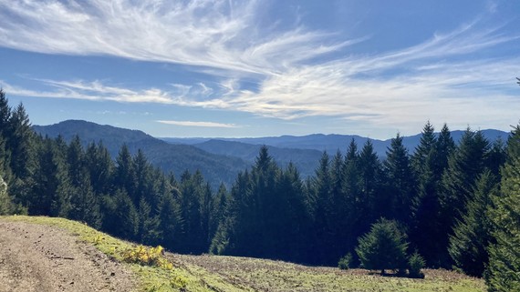 Humboldt Redwoods SP 