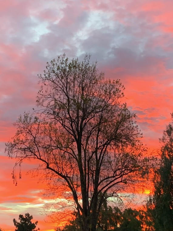 Lake Perris SRA (Sunrise)