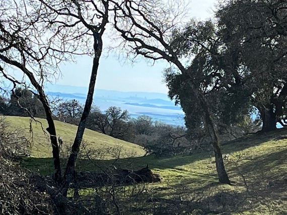 Jack London State Historic Park (ridge trail)