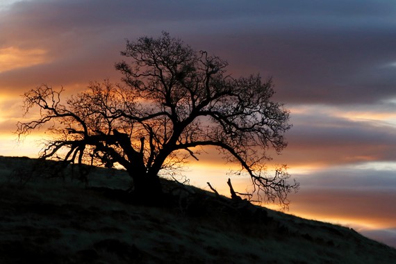Cuyamaca Rancho SP (Sunrise)