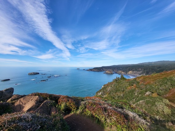 Trinidad State Beach