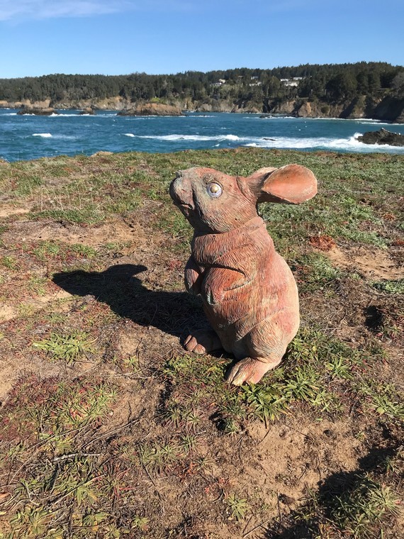 Mendocino Headlands SP_bunny status