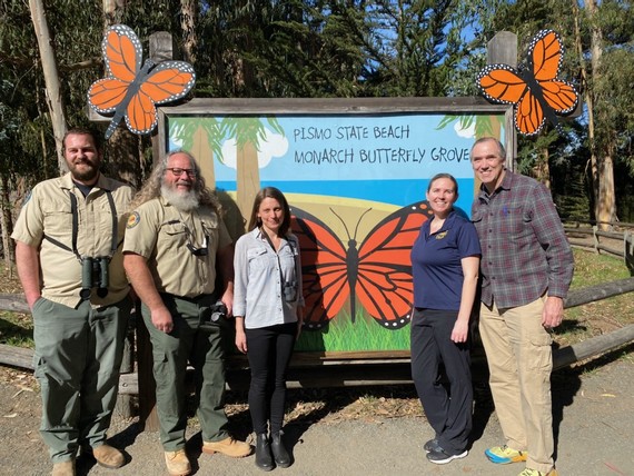 Pismo SB (Monarch butterfly grove)