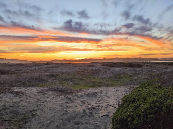 Sonoma Coast SP (Sunset)