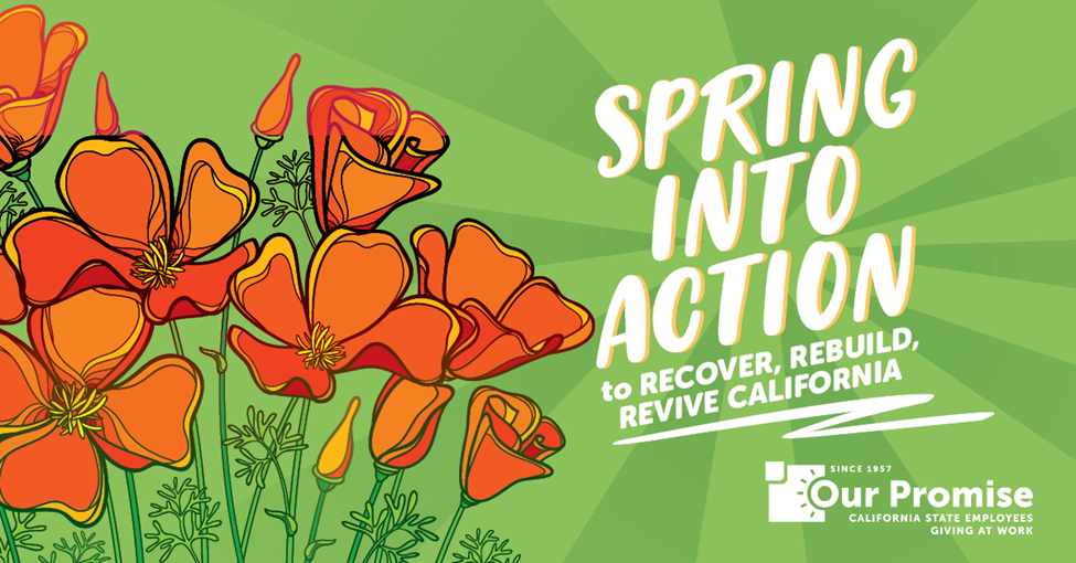 spring into action