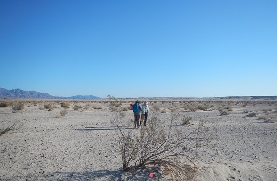 OW TS 2018 (2) survey