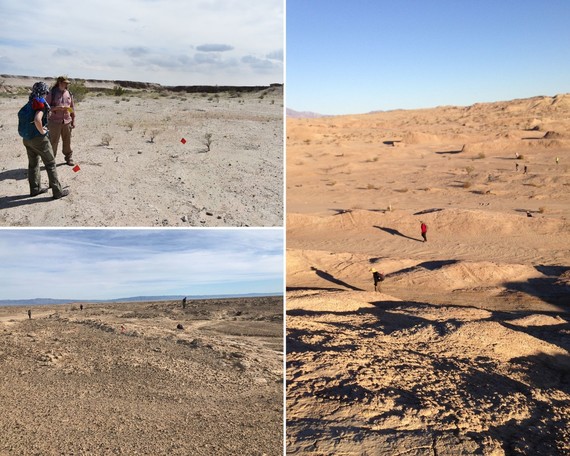 Ocotillo Wells parkwide trail survey collage 1