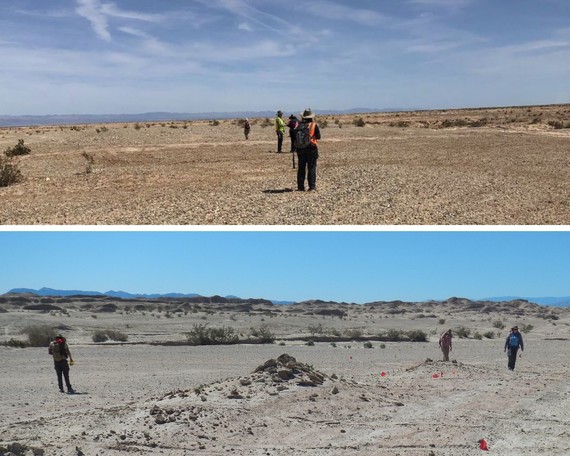 Ocotillo Wells parkwide trail survey collage 2