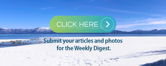 Digest submission graphic snow