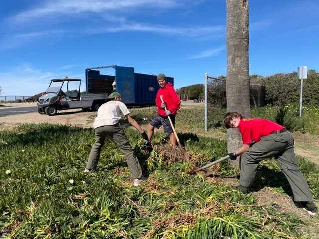 South Carlsbad SB scout cleanup