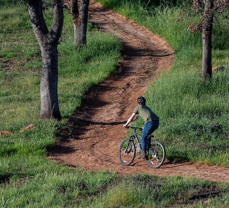 mountain biker on trail