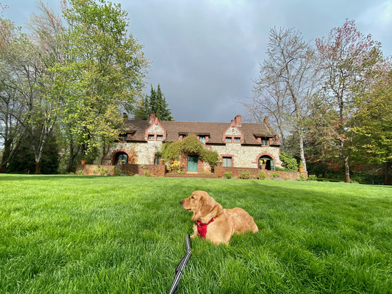 Empire Mine SHP_Kalea at Bourn Cottage