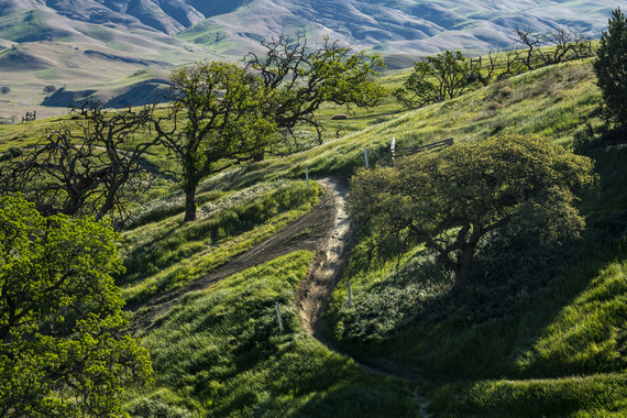 Carnegie SVRA_090-P109147