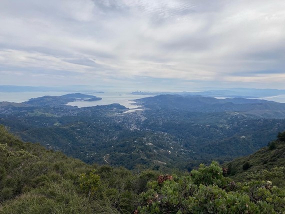 Mt Tam