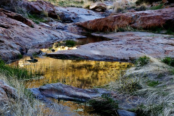 Cuyamaca Rancho SP_Harper Creek 2