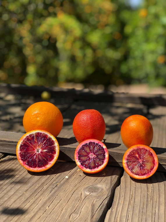 CA Citrus SHP_blood oranges