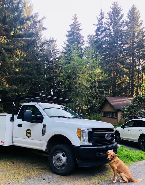 Sue-meg State Park (dog)