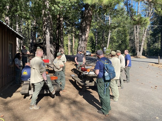 CBT-chainsaw-training