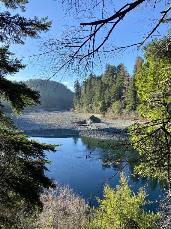 Jed Smith Redwoods SP_Jones Ian WD Submission