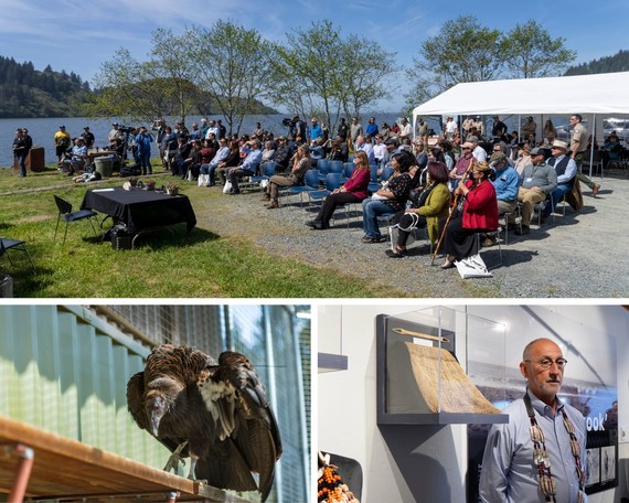 Stone Lagoon VC _ collage 2