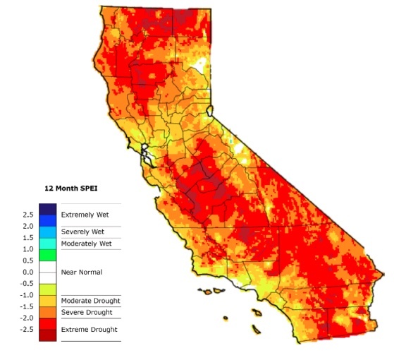 drought map