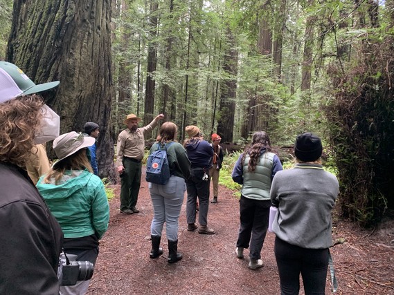 Humboldt Redwoods Interpreter Griff Griffith explains redwood ecology at Founders Grove, Humboldt Redwoods State Park