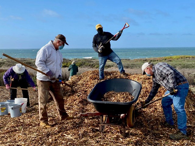 Venice Beach - Air SHovel