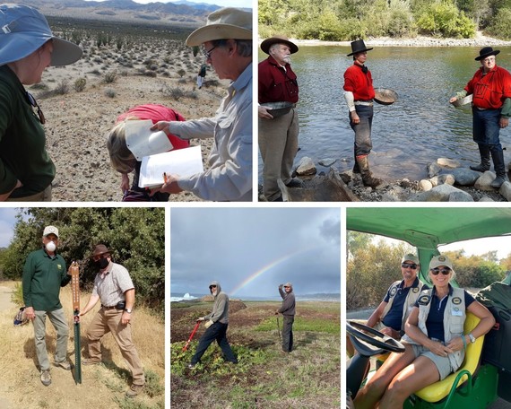 VIPP Appreciation week_Collage 2