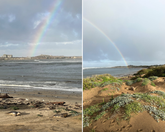 Ano Nuevo SP (Rainbow collage)
